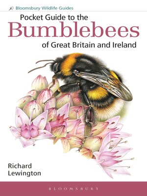 cover image of Pocket Guide to the Bumblebees of Great Britain and Ireland